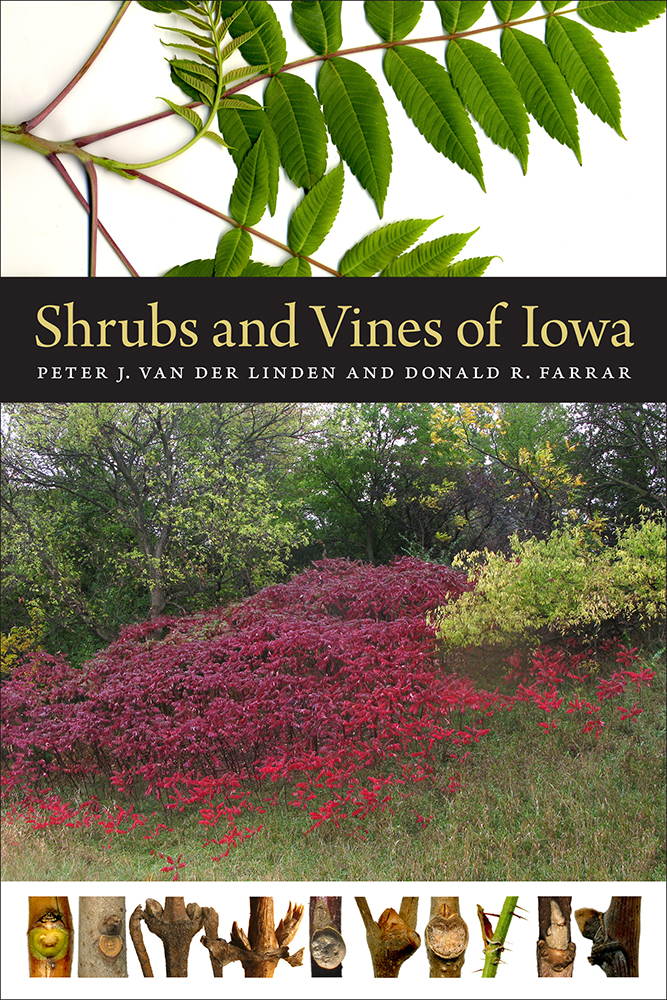Shrubs and Vines of Iowa University of Iowa Press The University of